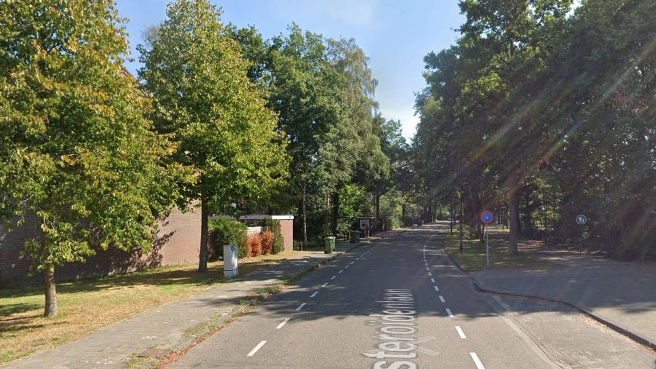 De Asteroïdenlaan in Breugel (foto: Google Maps).