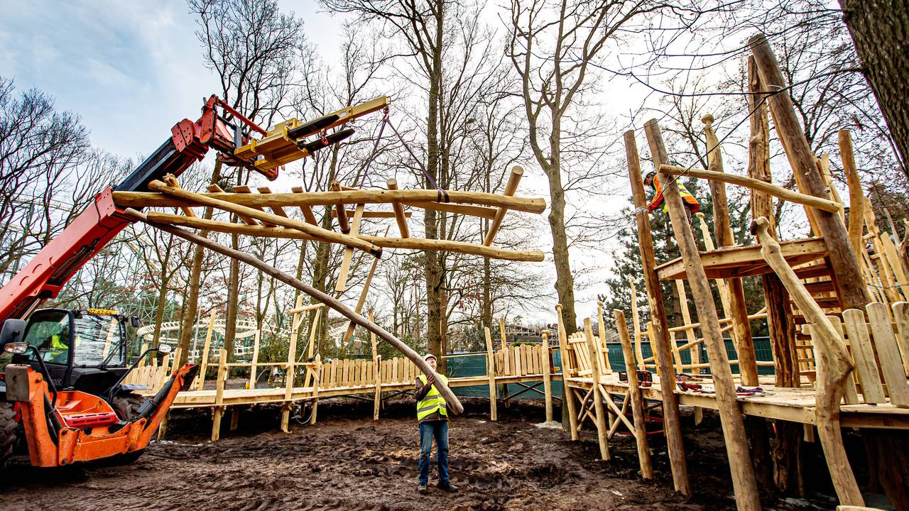 Het speelbos wordt nu gebouwd (foto: Efteling).