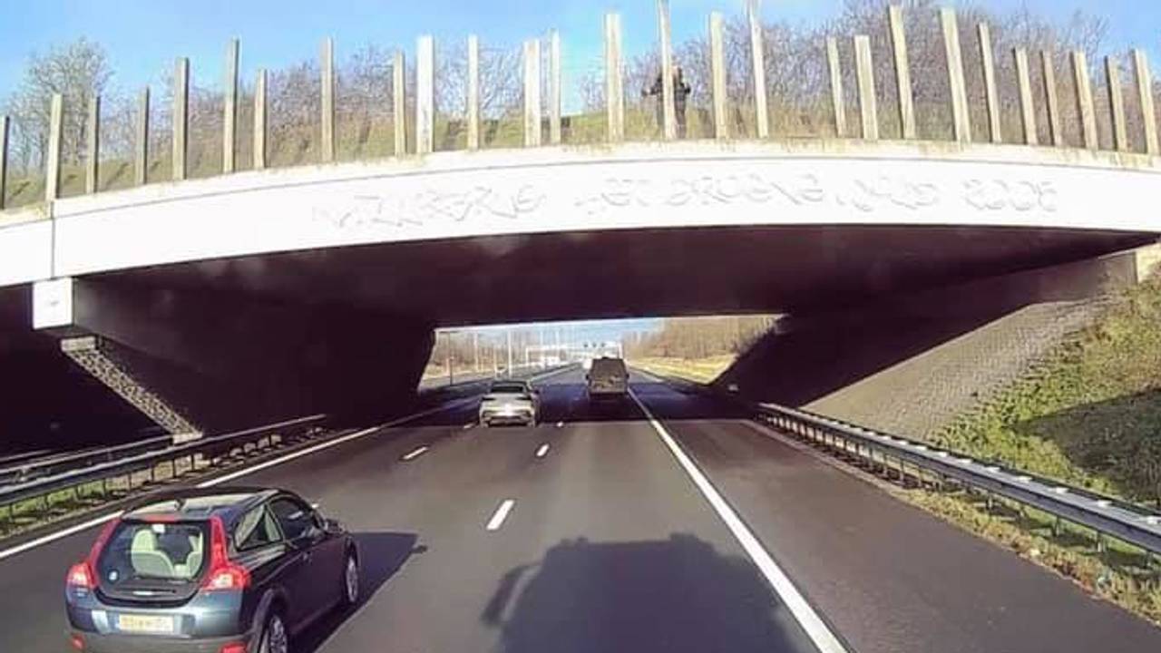 De man op de natuurbrug (foto: Sabine Verstappen/Facebook).