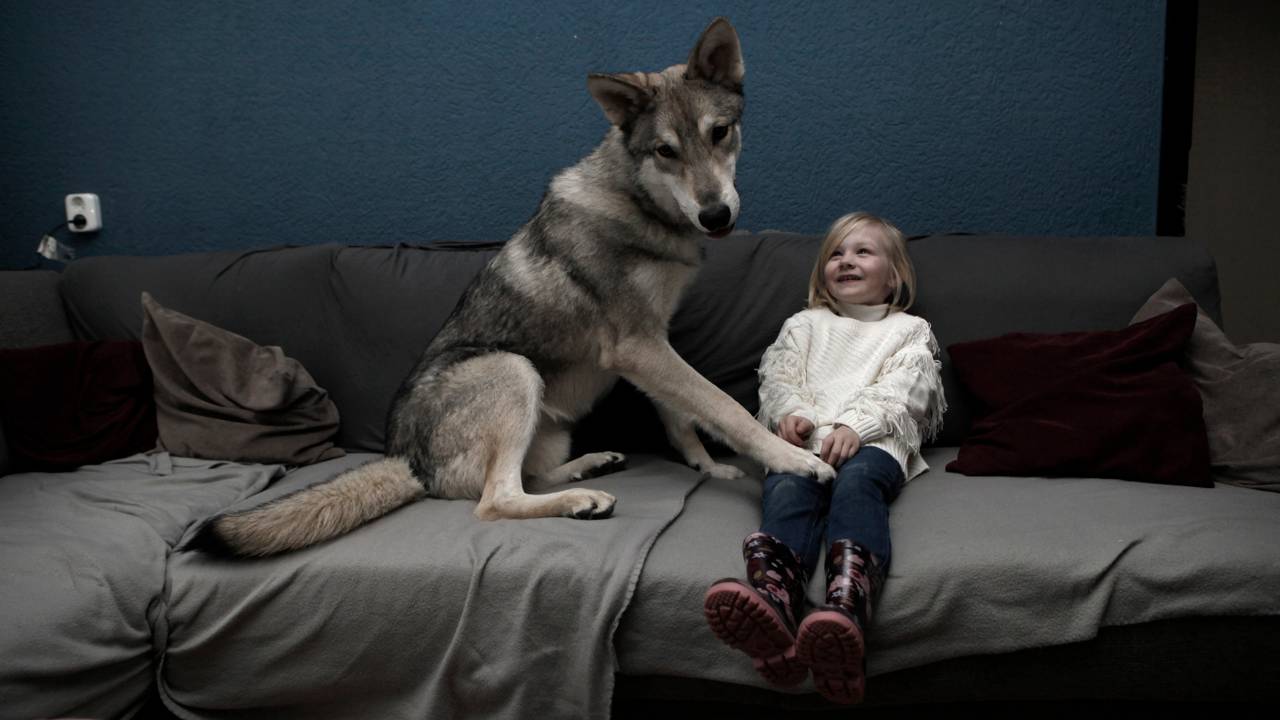 Selena en haar wolfhond Mateo die nooit van haar zijde wijkt (Foto: Marielle van Uitert)
