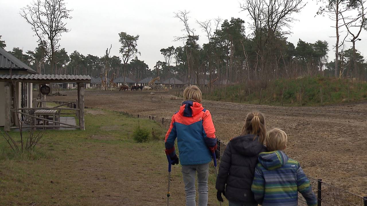 Het is druk in het Safari Resort van de Beekse Bergen.