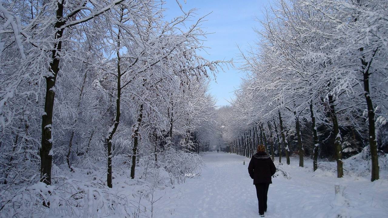 De sneeuw zou voor extra drukke gipskamers kunnen zorgen (archieffoto: Henk Voermans).