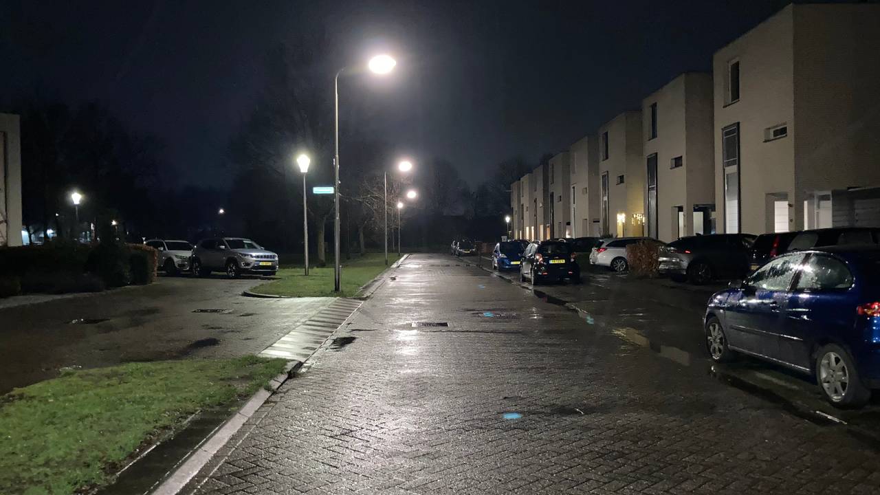 Het straatbeeld in Brabant, hier in Udenhout (foto: Karin Kamp).