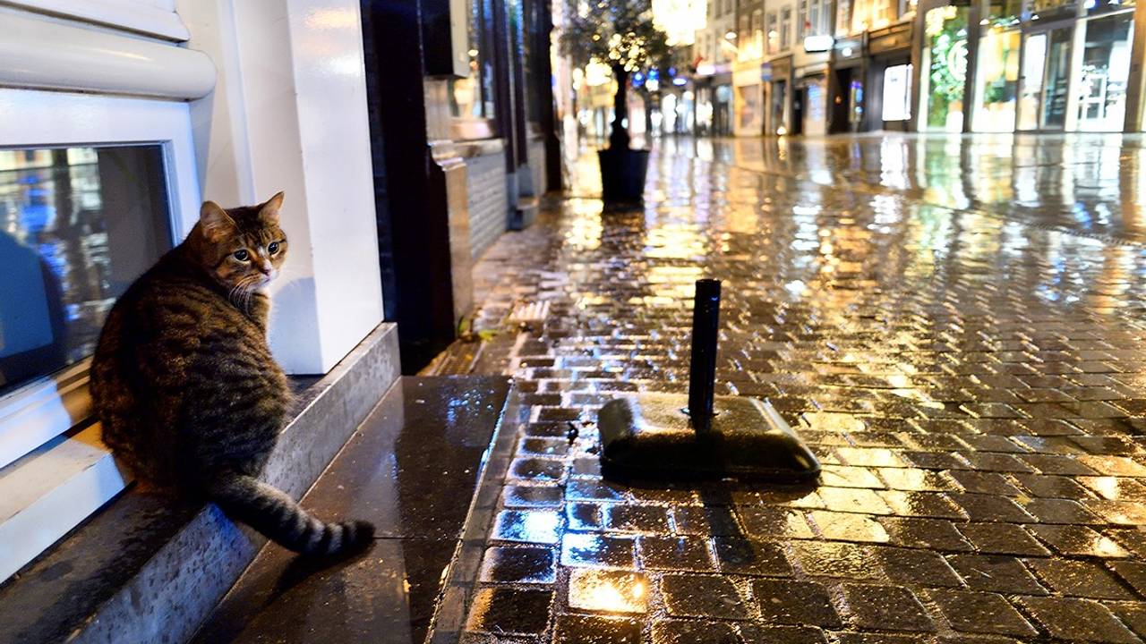 (foto: Erald van der Aa).