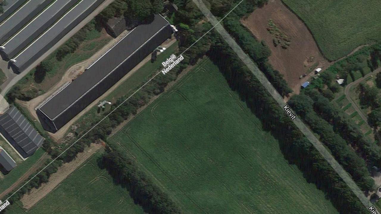 Het bedrijf Roelen Hof in Ravels, gerund door Brabanders, ligt net in België (Foto: Google).