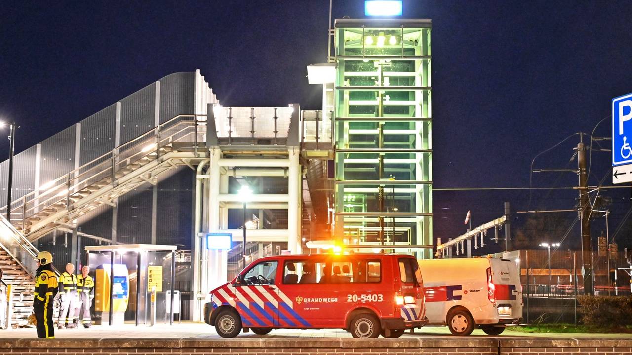 Foto: Tom van der Put, SQ Vision.