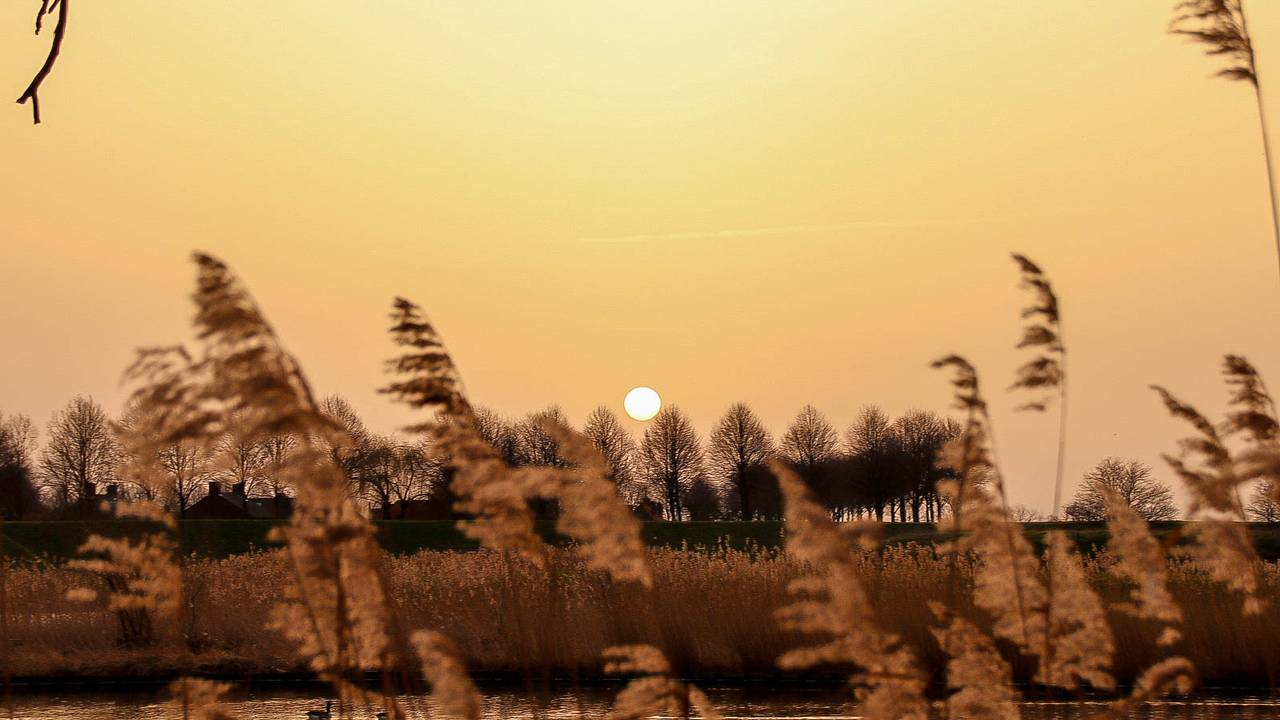 Zonsopkomst in Heesbeen (foto: Lida Verkade)