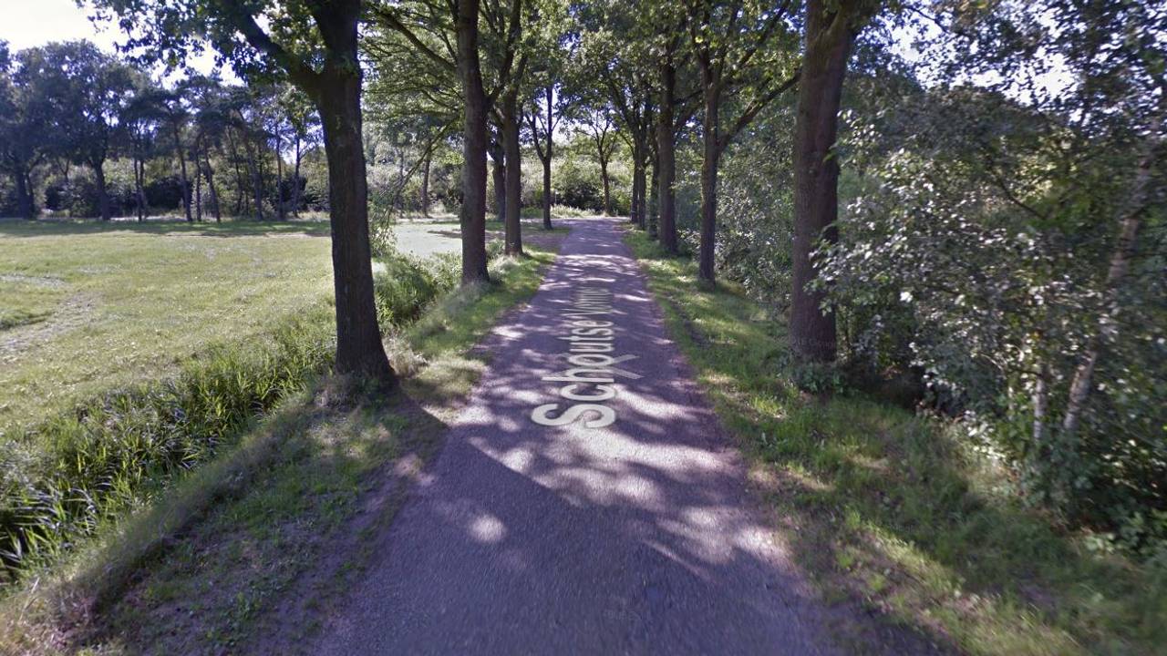 De golden retriever werd aangevallen op de Schoutse Vennen in Nuenen (beeld: Google Maps).