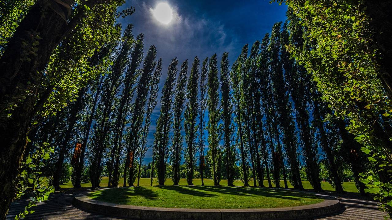 Nieuw festivalhart voor theaterfestival Boulevard in Zuiderpark Den Bosch (foto: Boulevard)