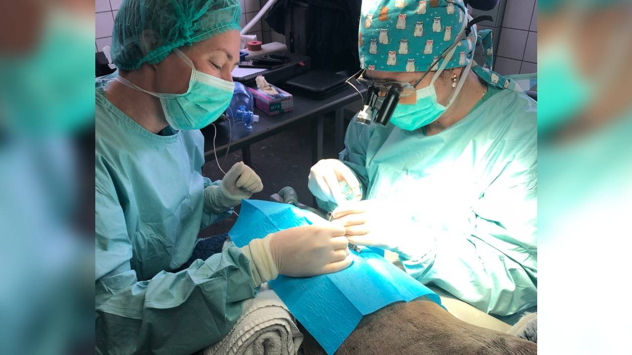 Chantal van Schaik uit Oosterhout (rechts) tijdens een eerdere operatie.