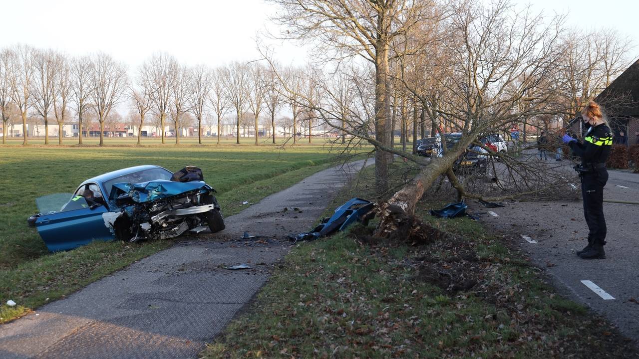 Een boom en een lantaarnpaal, die onder de boom ligt, verder uit de grond gereden. Foto: Marco van den Broek/SQ Vision.