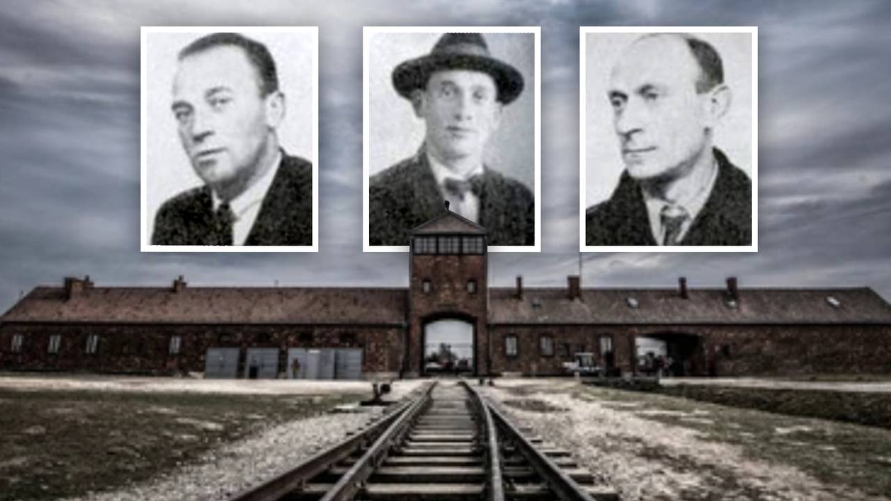 De broers Voltijn uit Den Bosch die voetbalden bij BVV totdat ze vermoord werden door de Duitsers.