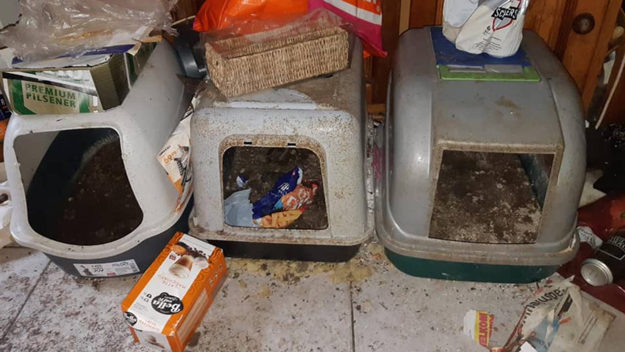 De politie vond smerige kattenbakken in het huis (foto: politie).