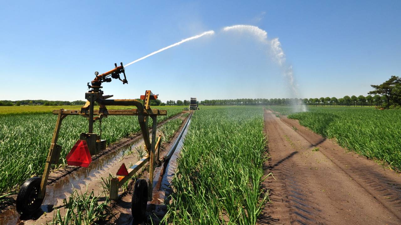 Foto: Ben Saanen, Budel. 