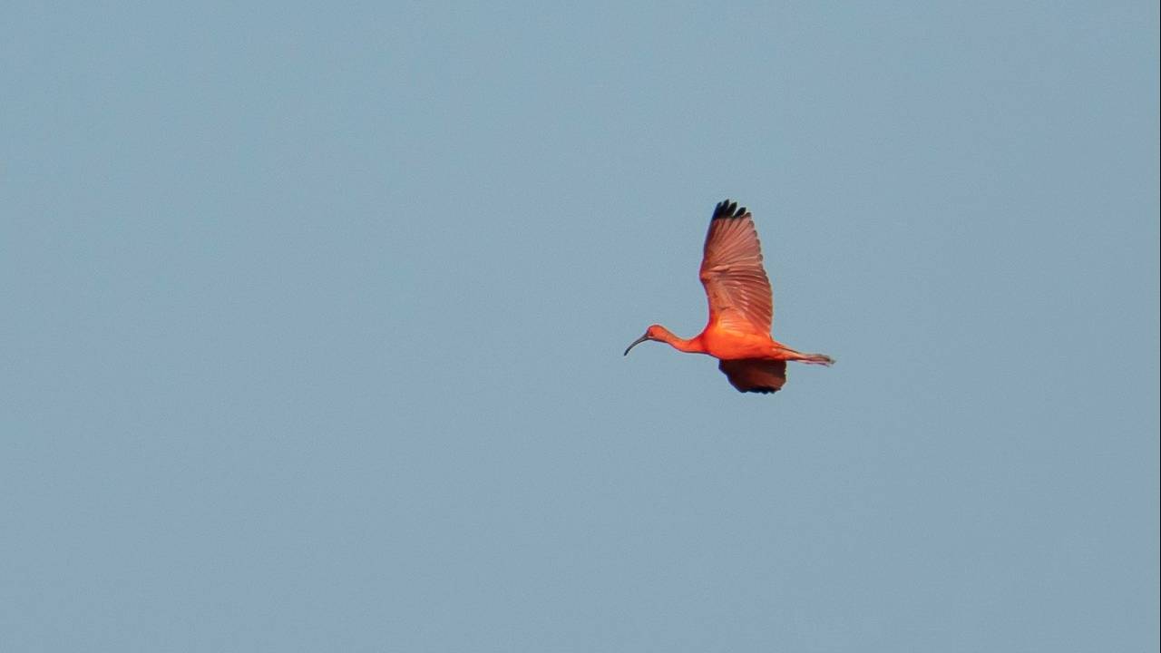 Foto: Mirian Sweegers