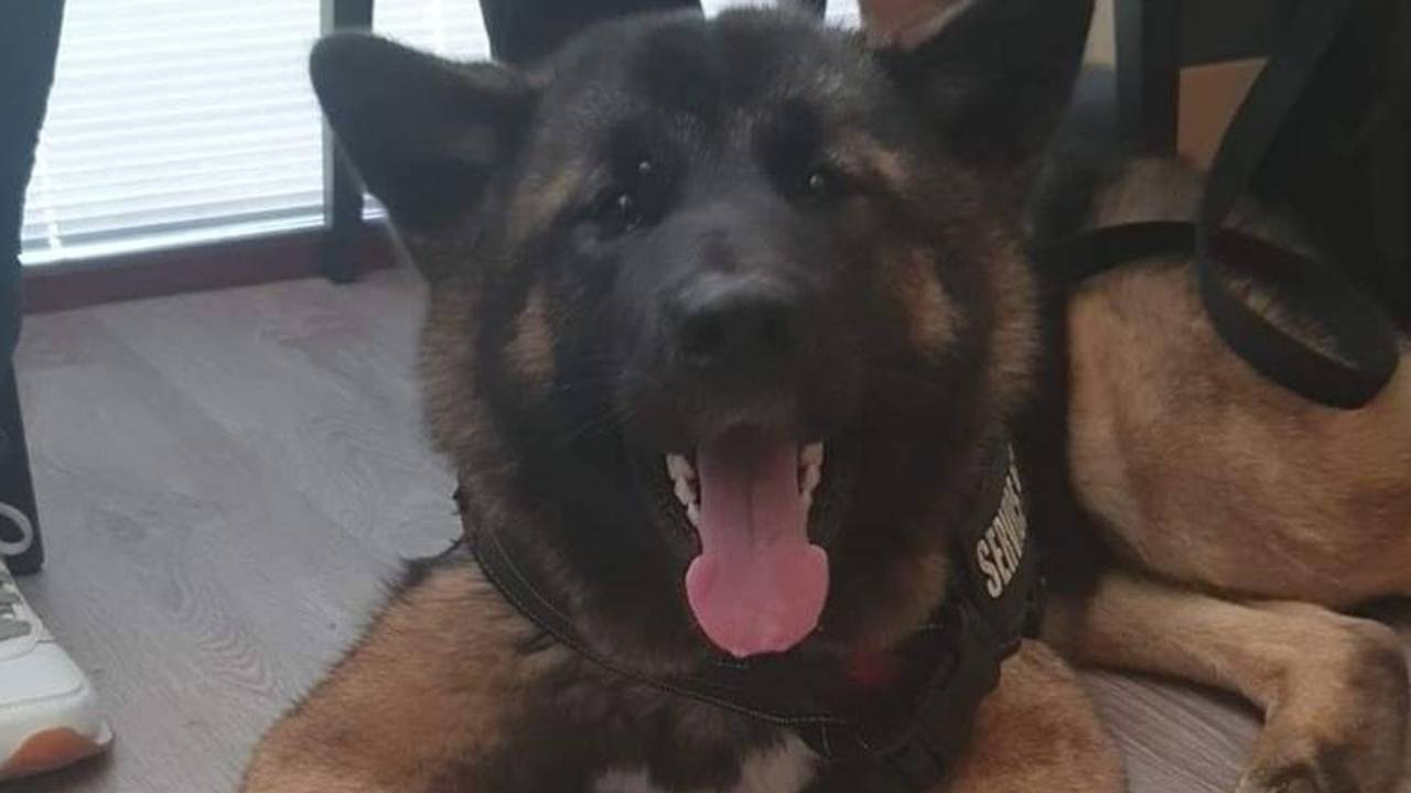 Guerrero is weer veilig thuis. 