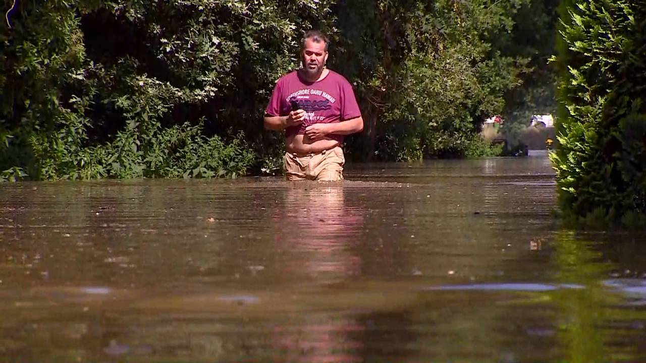 Waden door het hoge water van de Maas bij Landgoed Geijsteren in Maashees.