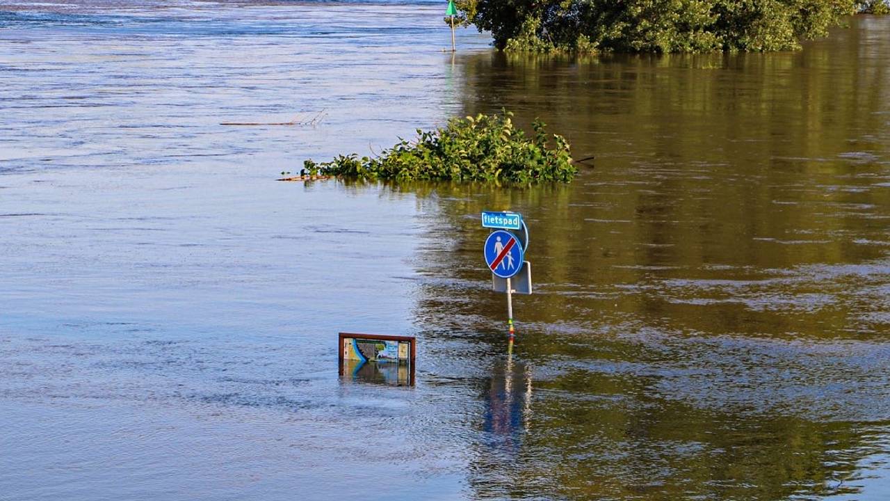 Foto: Steffi Burgers.