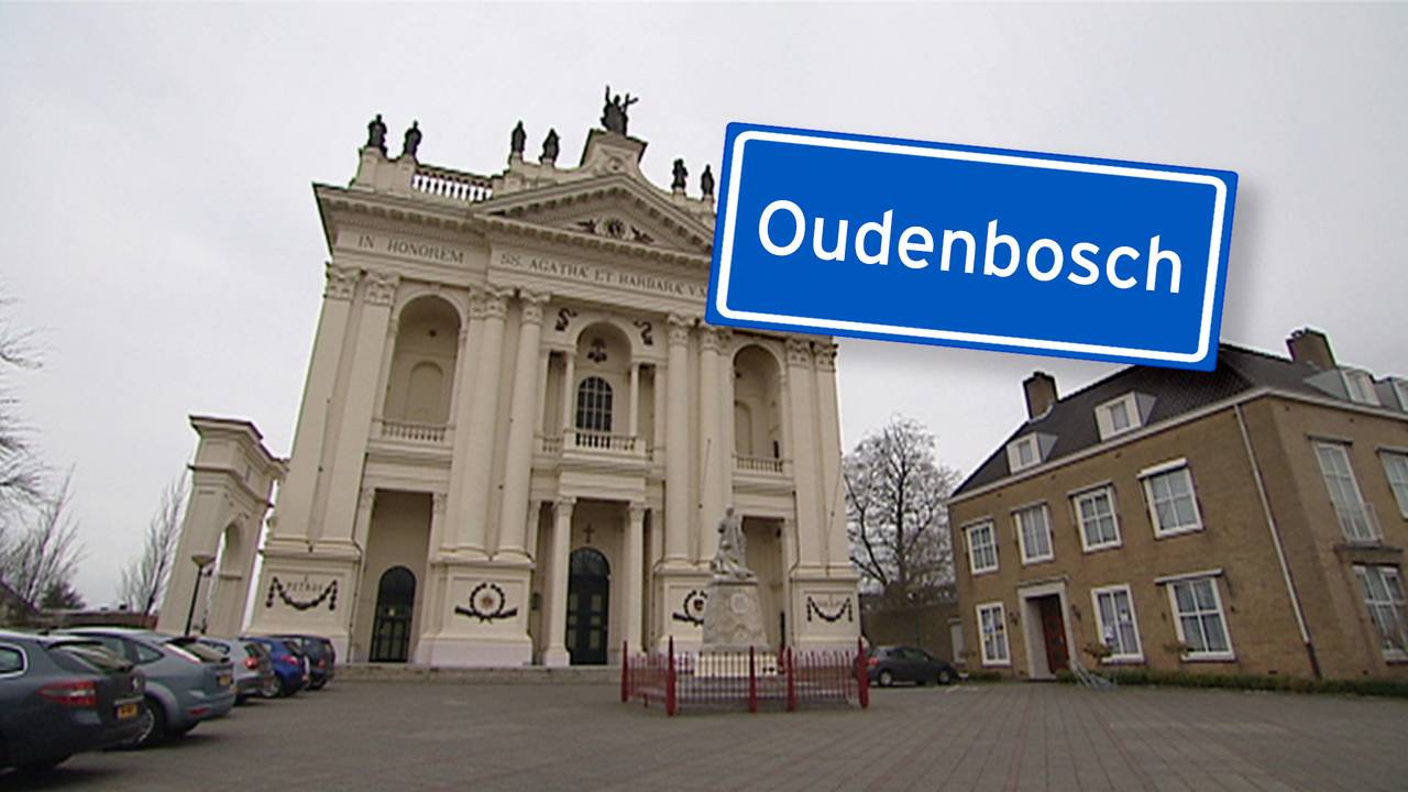 WEB_ZOMERSERIE_MASTBOOMHUIS.transfer