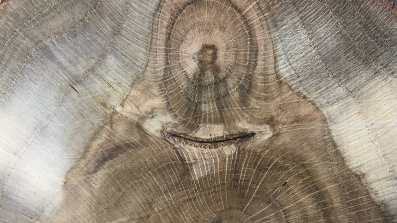 Het wonder van Geldrop