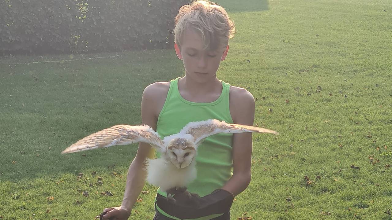 Het hele gezin van Sabrina oefende met kerkuil Yuca, die nu al een hele dag weg is ( foto: Sabrina Lensen)