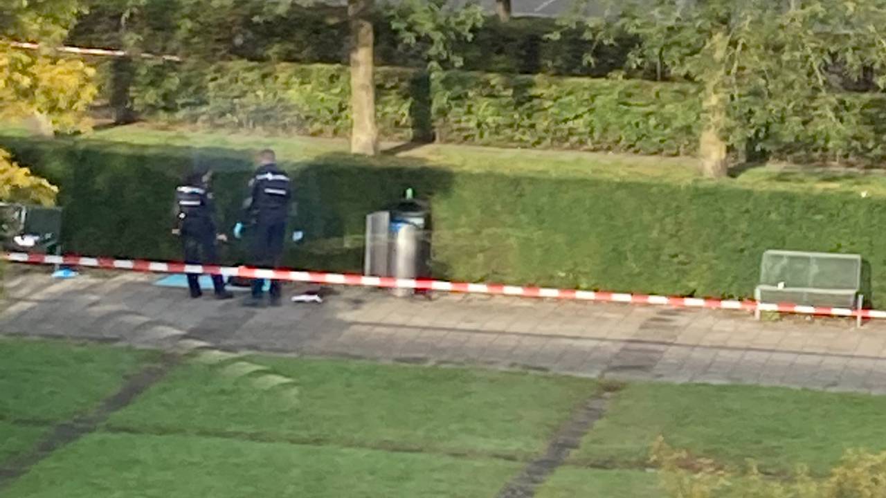Agenten bij de prullenbak aan de Molenstraat in Oss (foto: ooggetuige).