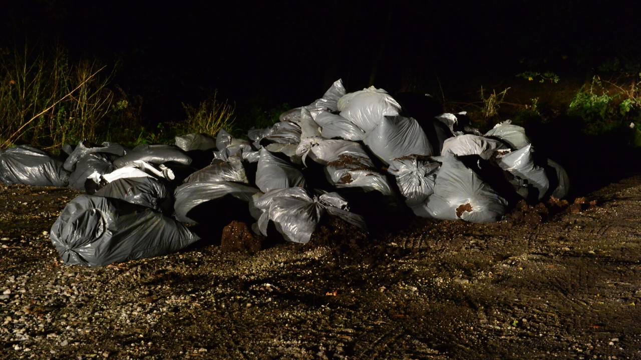 Foto: Walter van Bussel/SQ Vision.