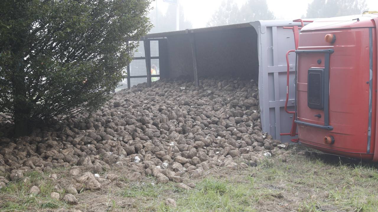 De vrachtwagen die kantelde in Oud Gastel vervoerde suikerbieten (foto: Christian Traets/SQ Vision).