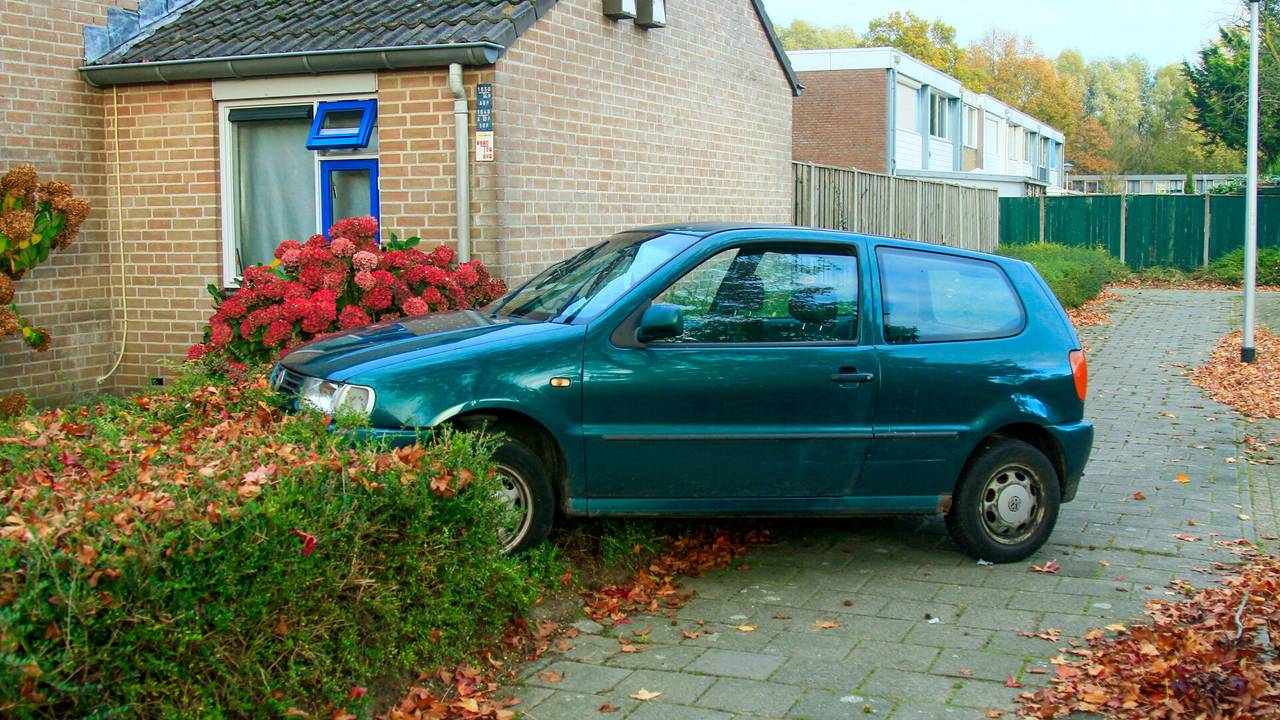 Foto: Harrie Grijseels/SQ Vision