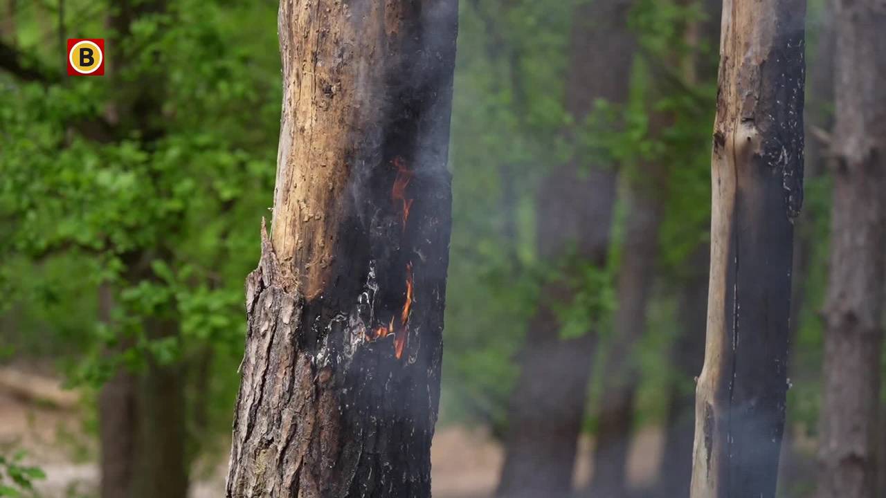 brandweer blust kampvuur in bos Best • ongeluk op A2.