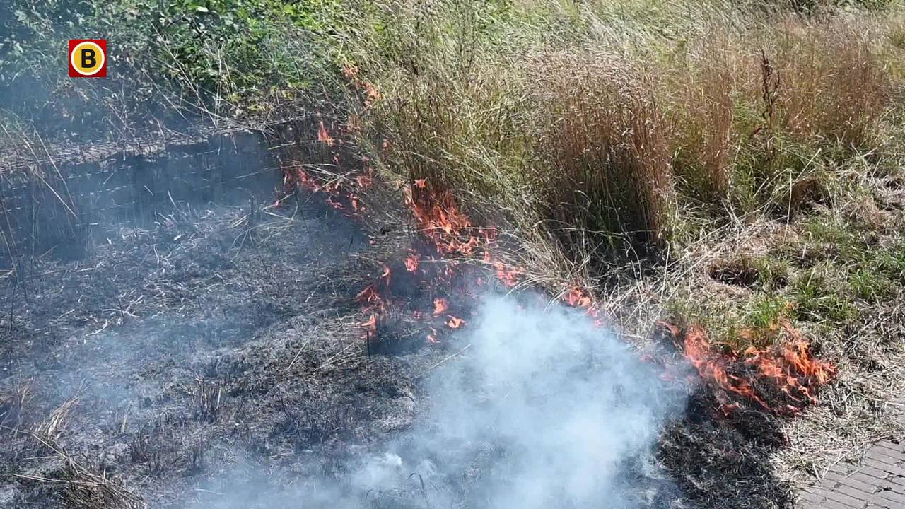 botsing bij Hooipolder • auto belandt in greppel.