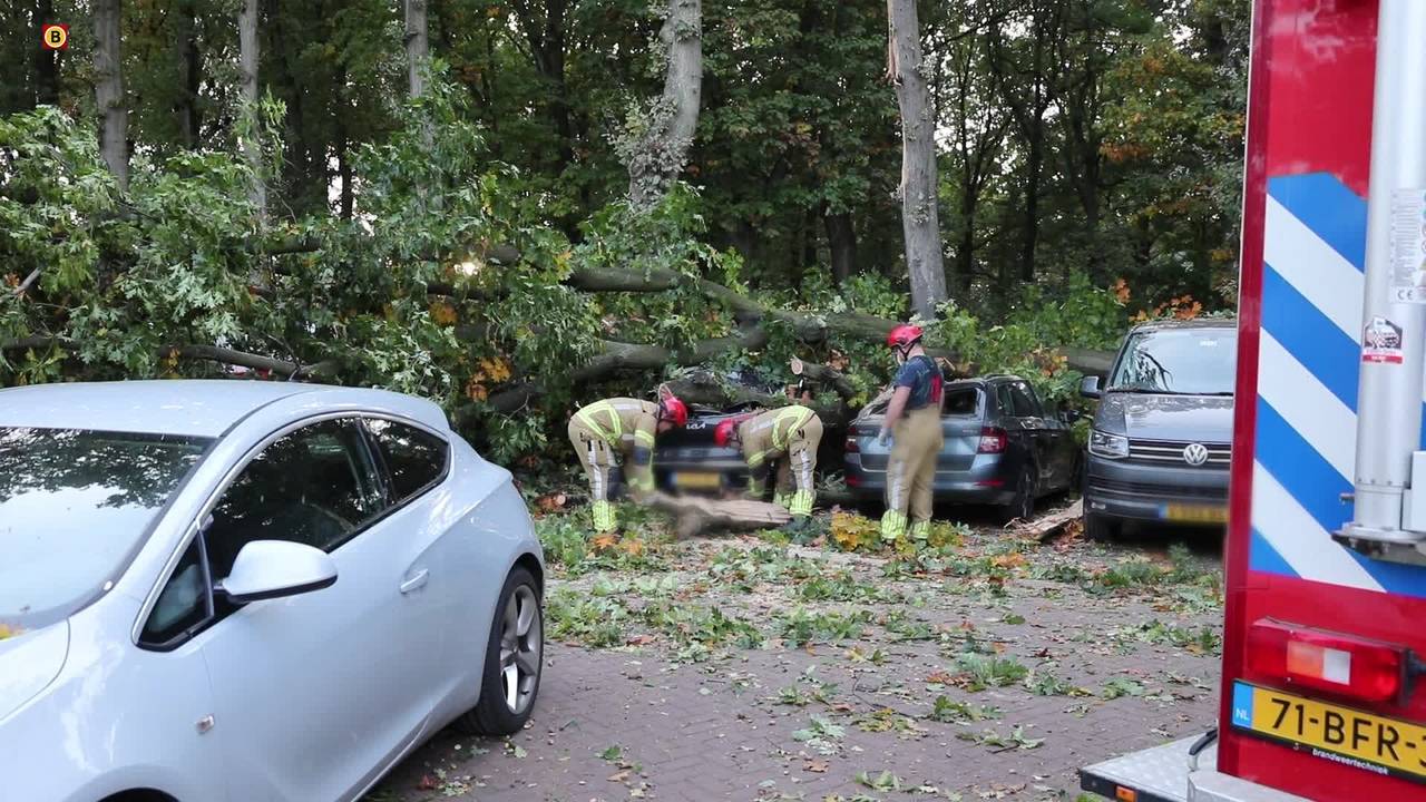file op de A2 na botsing • boom valt op autos.