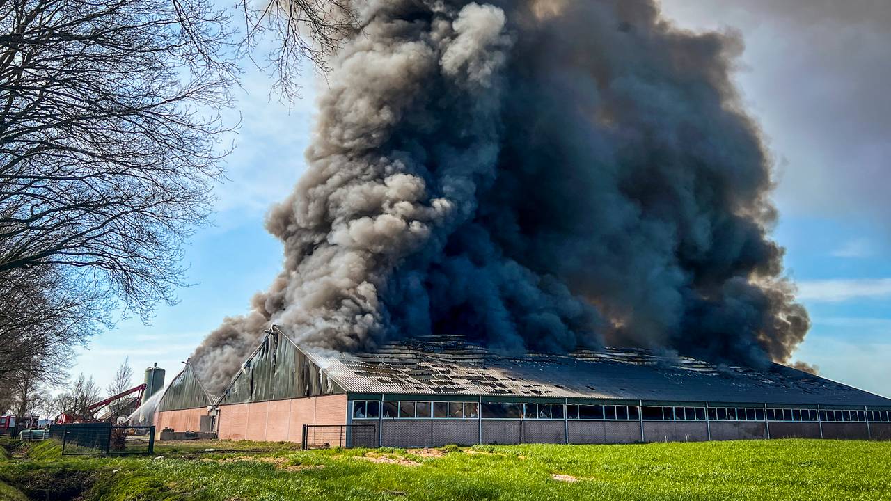 112-nieuws hennepkwekerij in huis • druk op snelwegen door ongelukken.