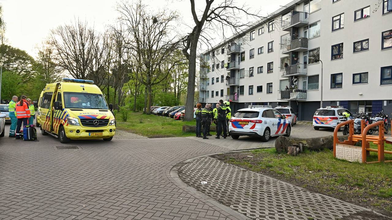 bestuurder gewond na ongeluk • geen treinen door storing.