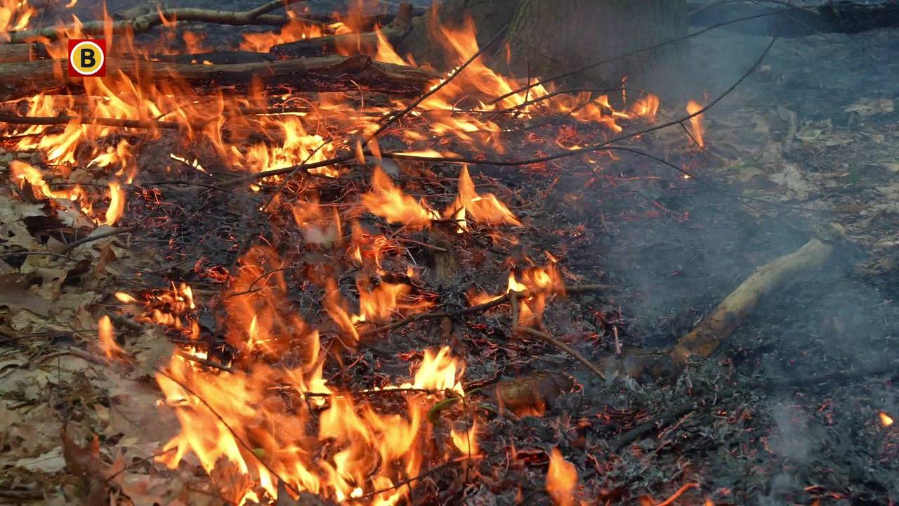 brand in bos Vlijmen • botsing tussen twee scooters.