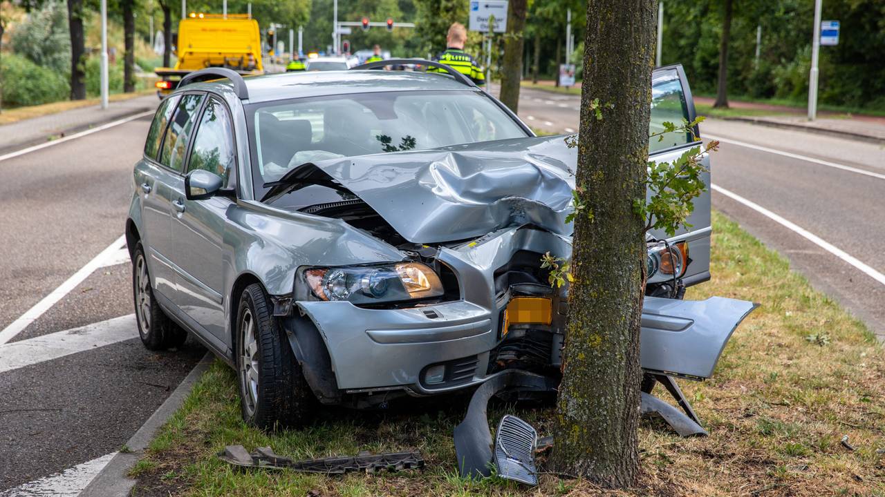 boom valt op vrouw • botsing voor stoplicht in Waalwijk.
