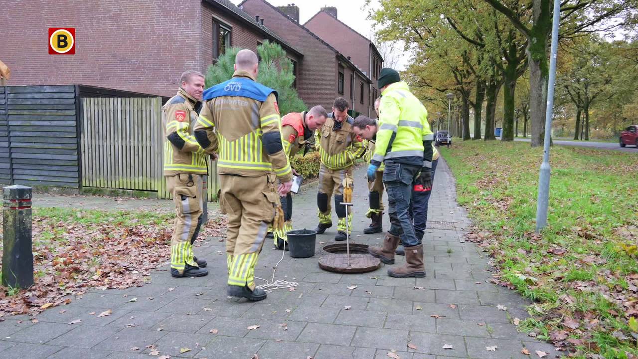 fietser ernstig gewond na val • verkeerschaos na botsing.