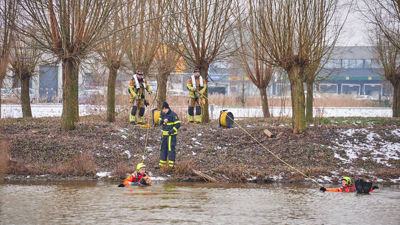 honderden blikjes gedumpt naast N282 • meerdere ongelukken.