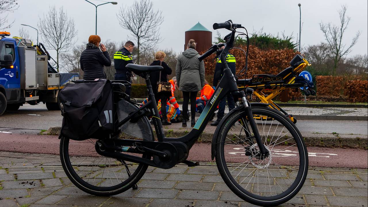 fietsster valt na aanrijding • agenten vangen alpacas.