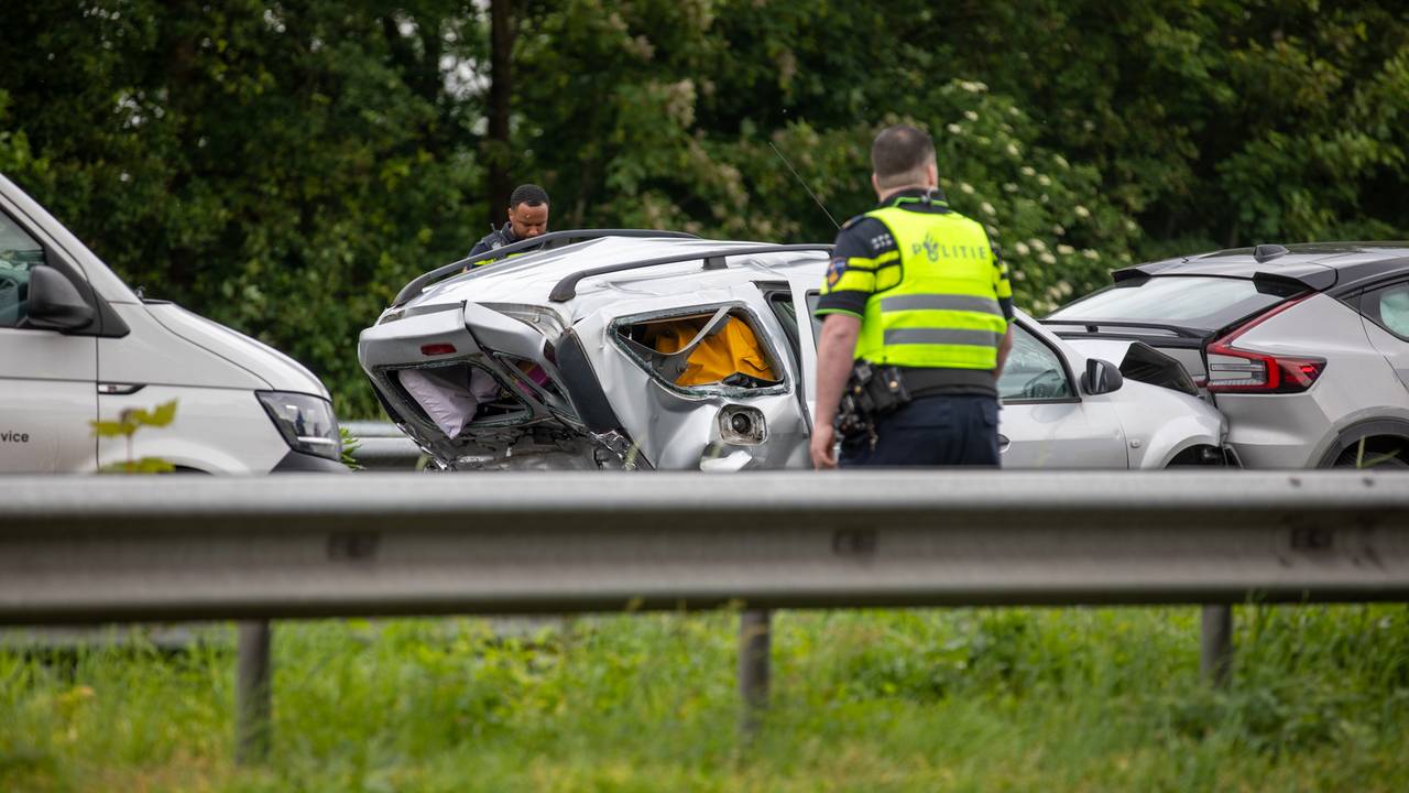 ernstig ongeluk op de A17 • overstekende schildpad A67.
