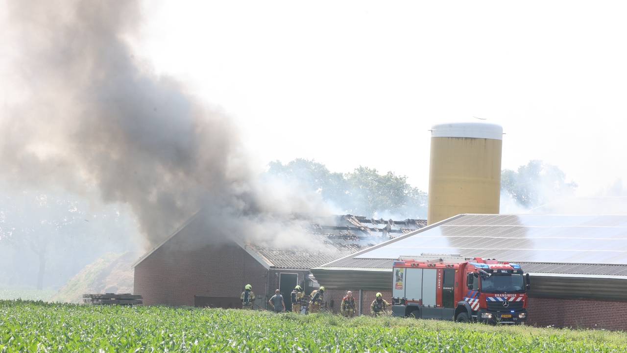 varkensstal in brand • botsing op de Maastrichterweg.
