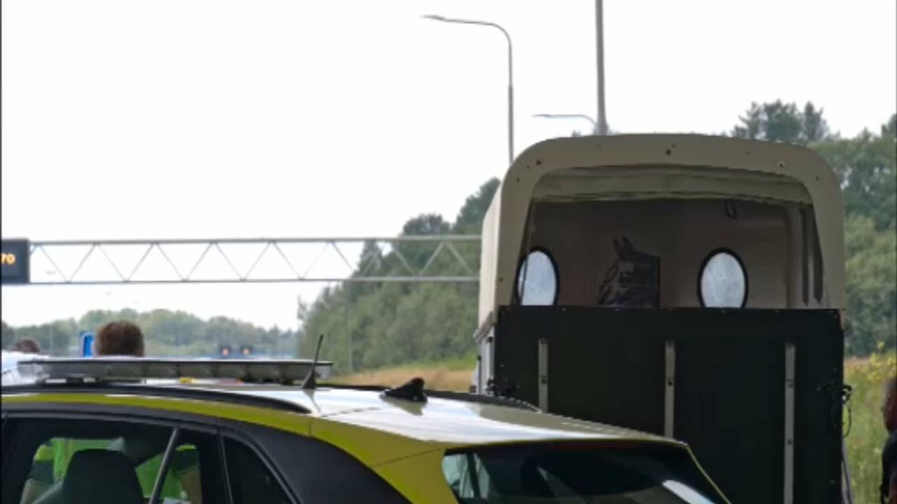 man zwaargewond na val uit raam • botsing op beruchte kruising.