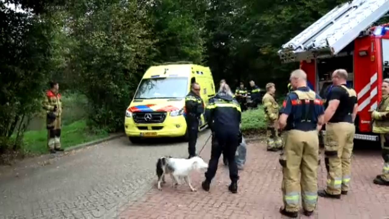 autos botsen op elkaar • auto op zijn kant na botsing.