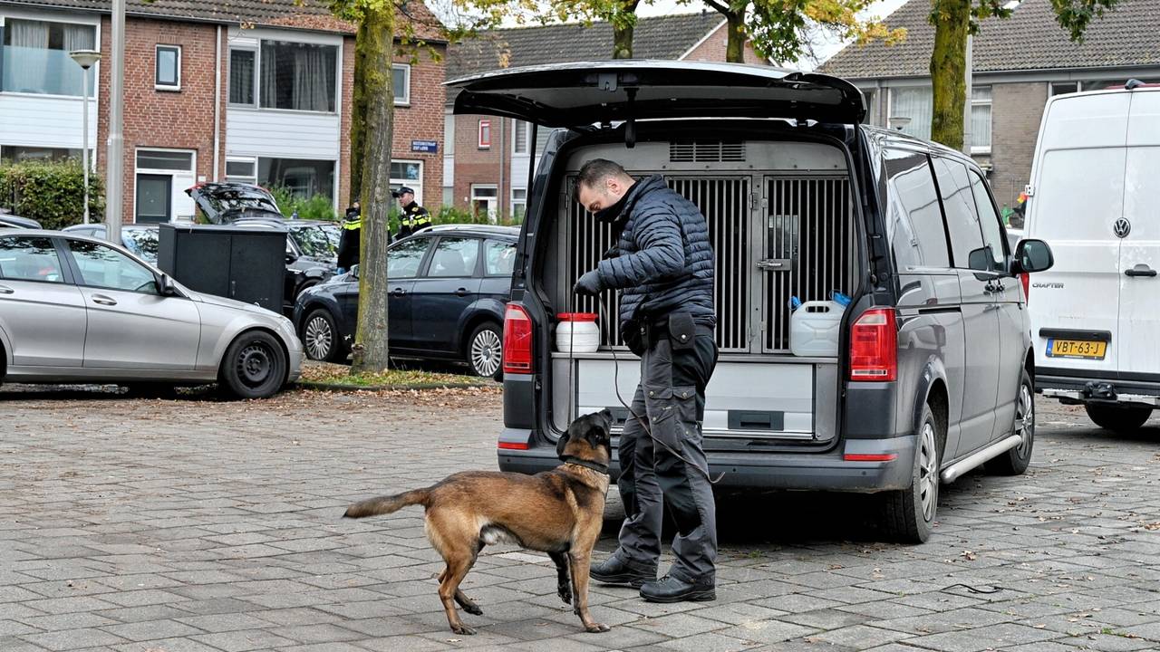 gestolen auto tegen boom • ongeluk op N266.