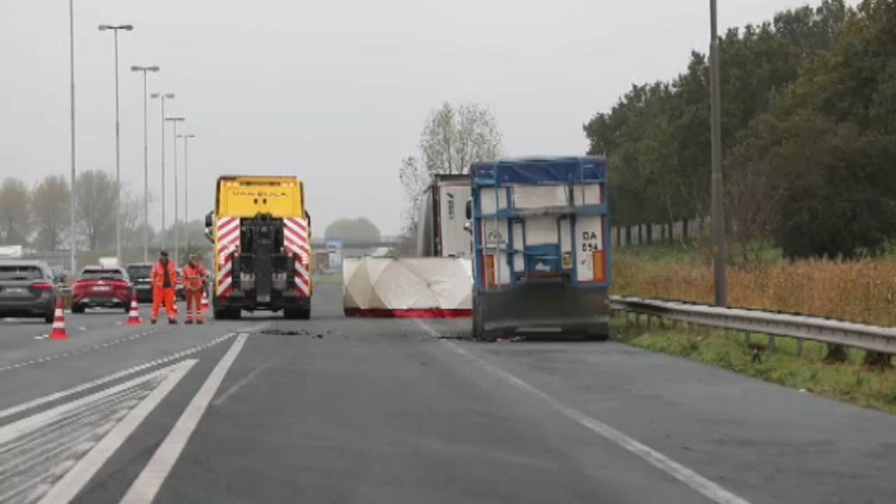 Twee doden bij ongeluk op A4: opgepakte vrachtwagenchauffeurs weer vrij.
