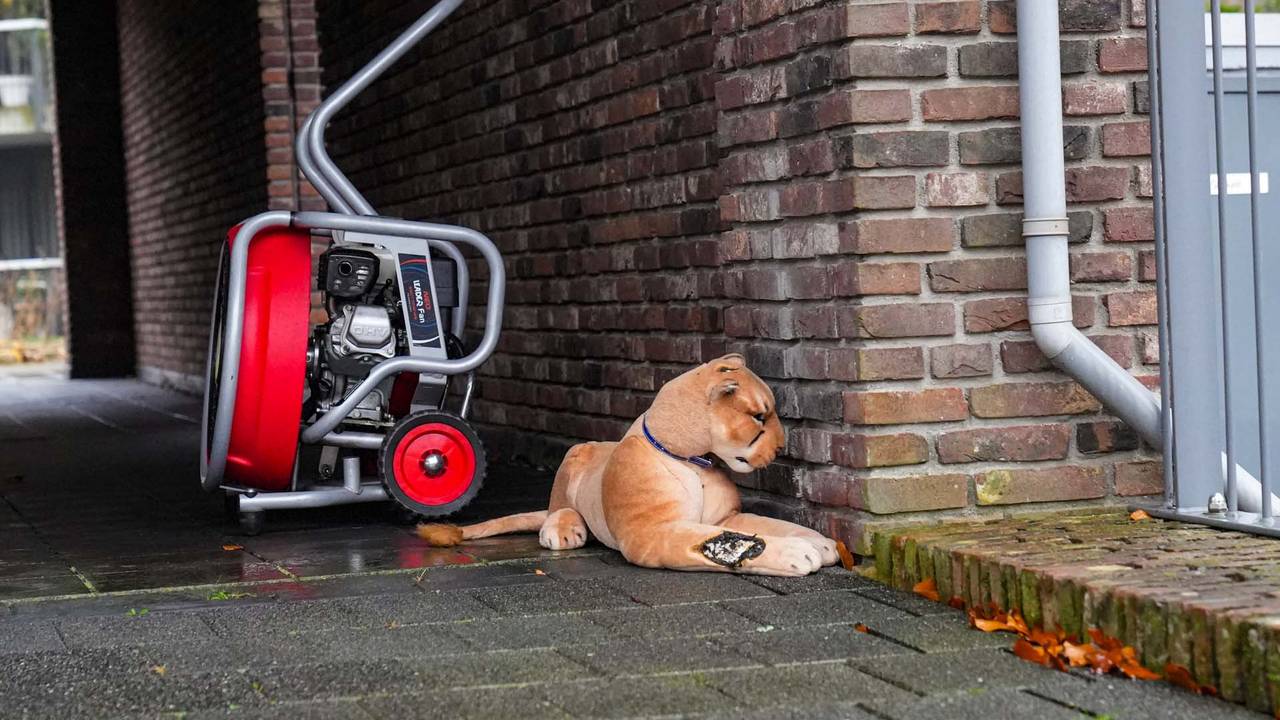 drugspand in Kaatsheuvel • kind van 3 aangereden.