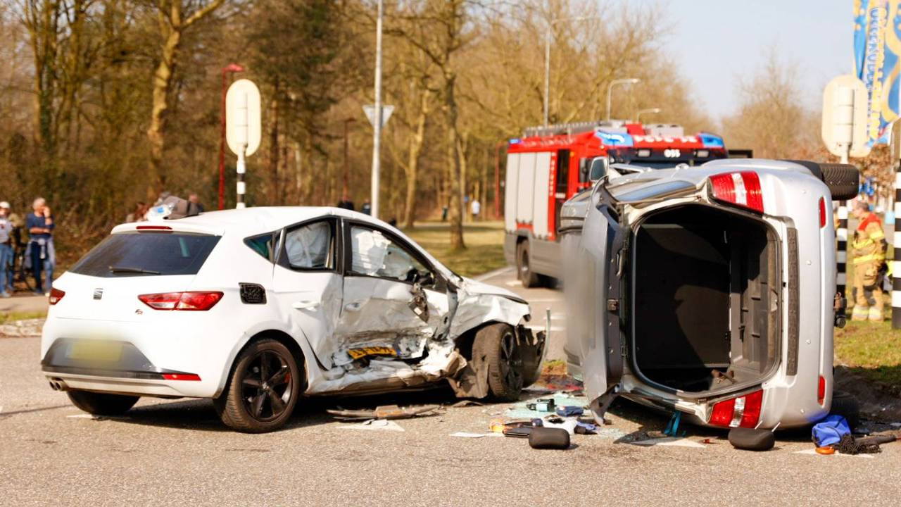 pitbull ruziet met andere hond • auto op zijn kant na botsing.