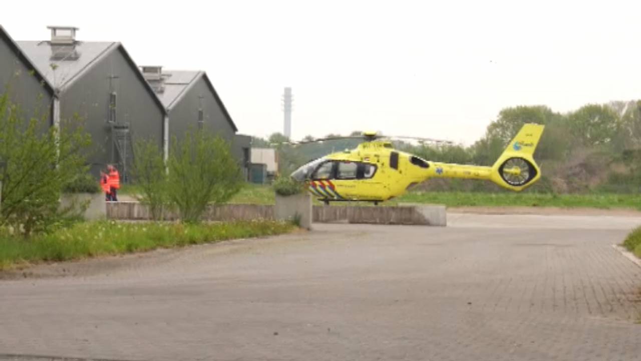 Man overleden nadat hij gewond raakte bij ongeluk op champignonkwekerij.