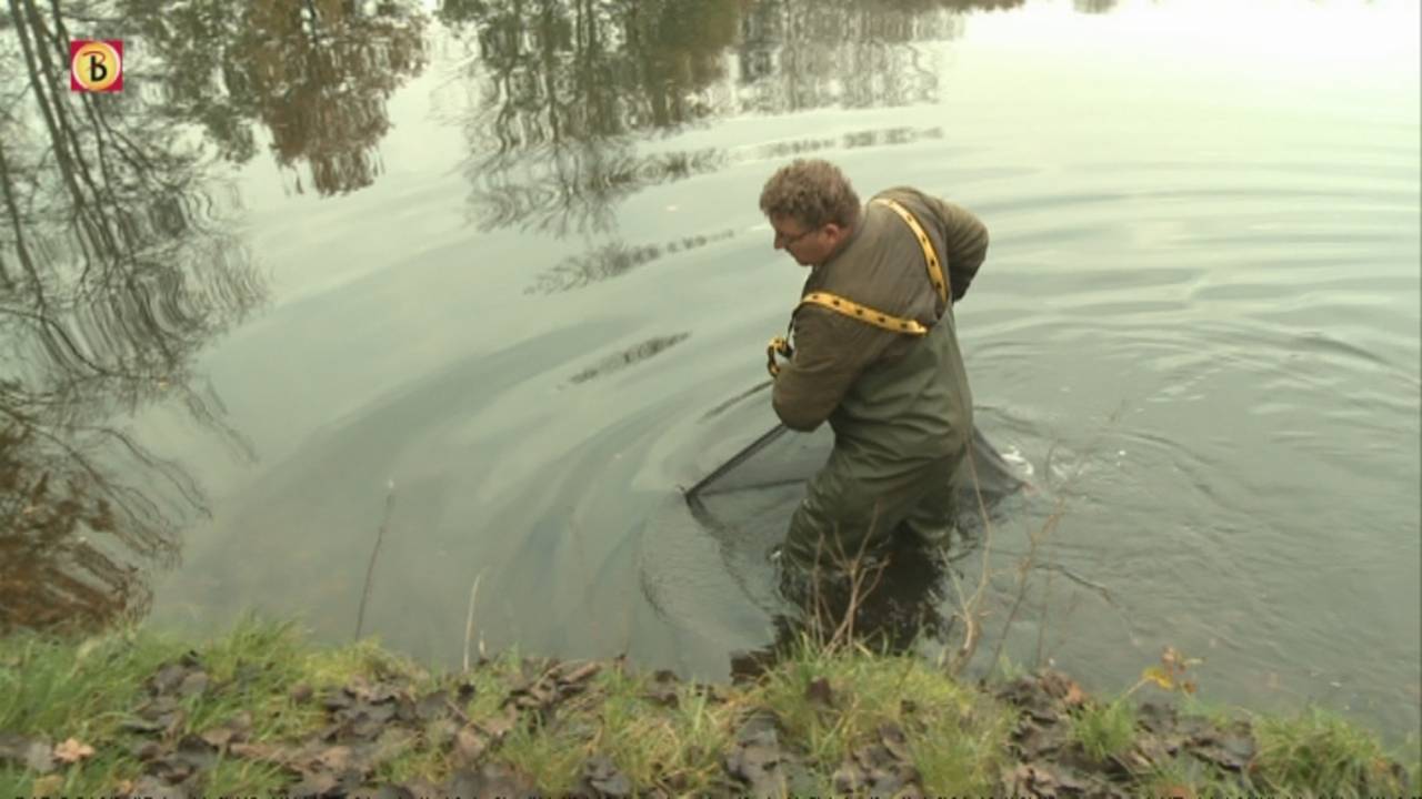 Ga naar slide 2