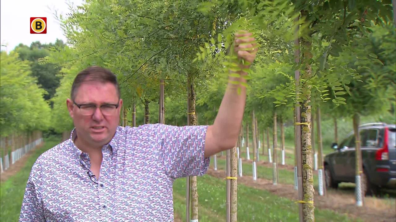Ga naar slide 2